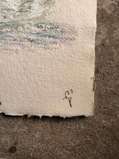 Observation #003
