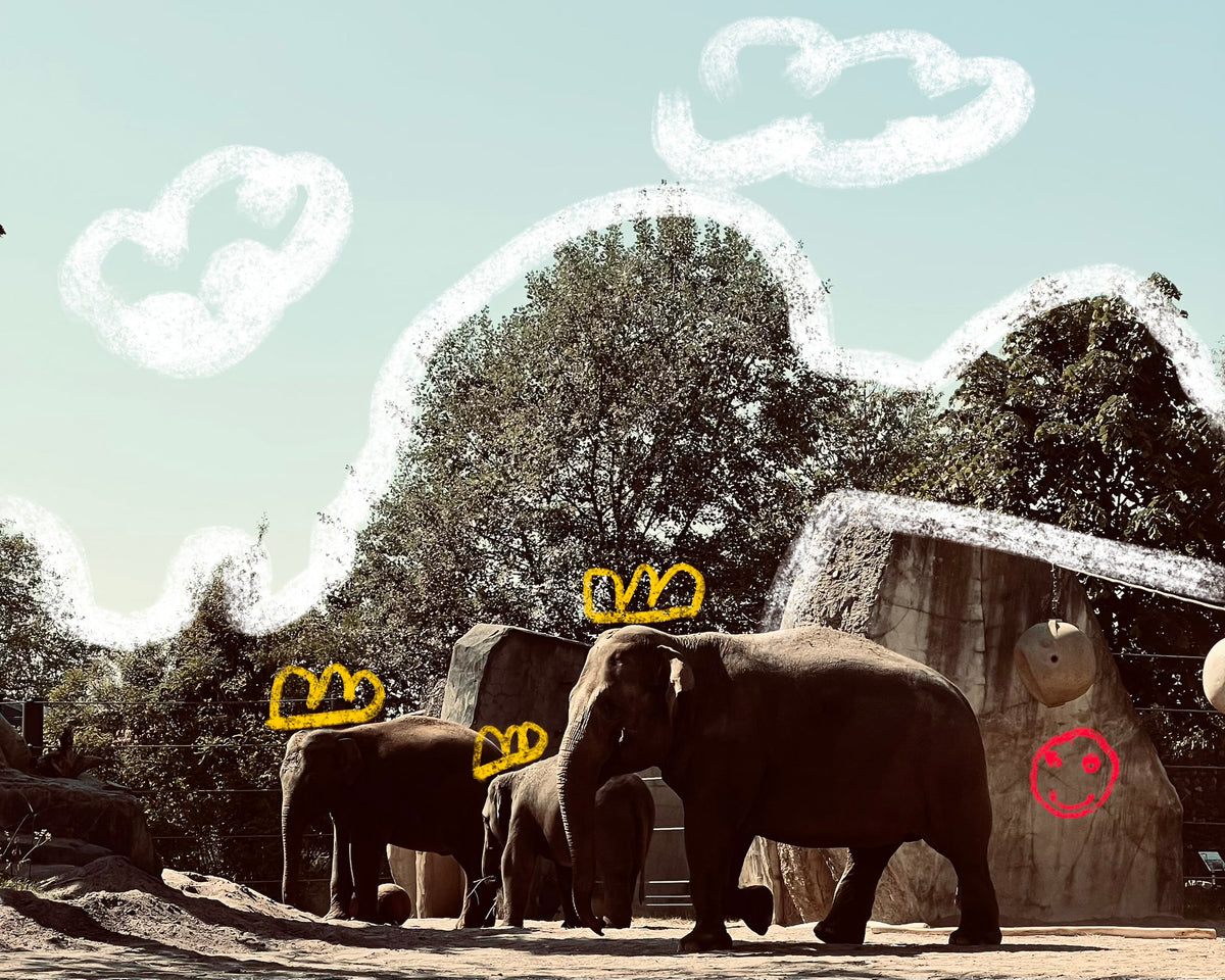 The elephant