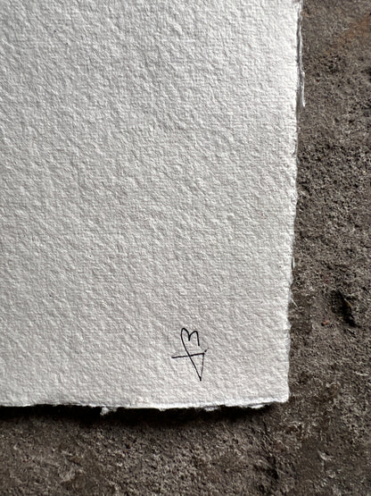 Observation #004