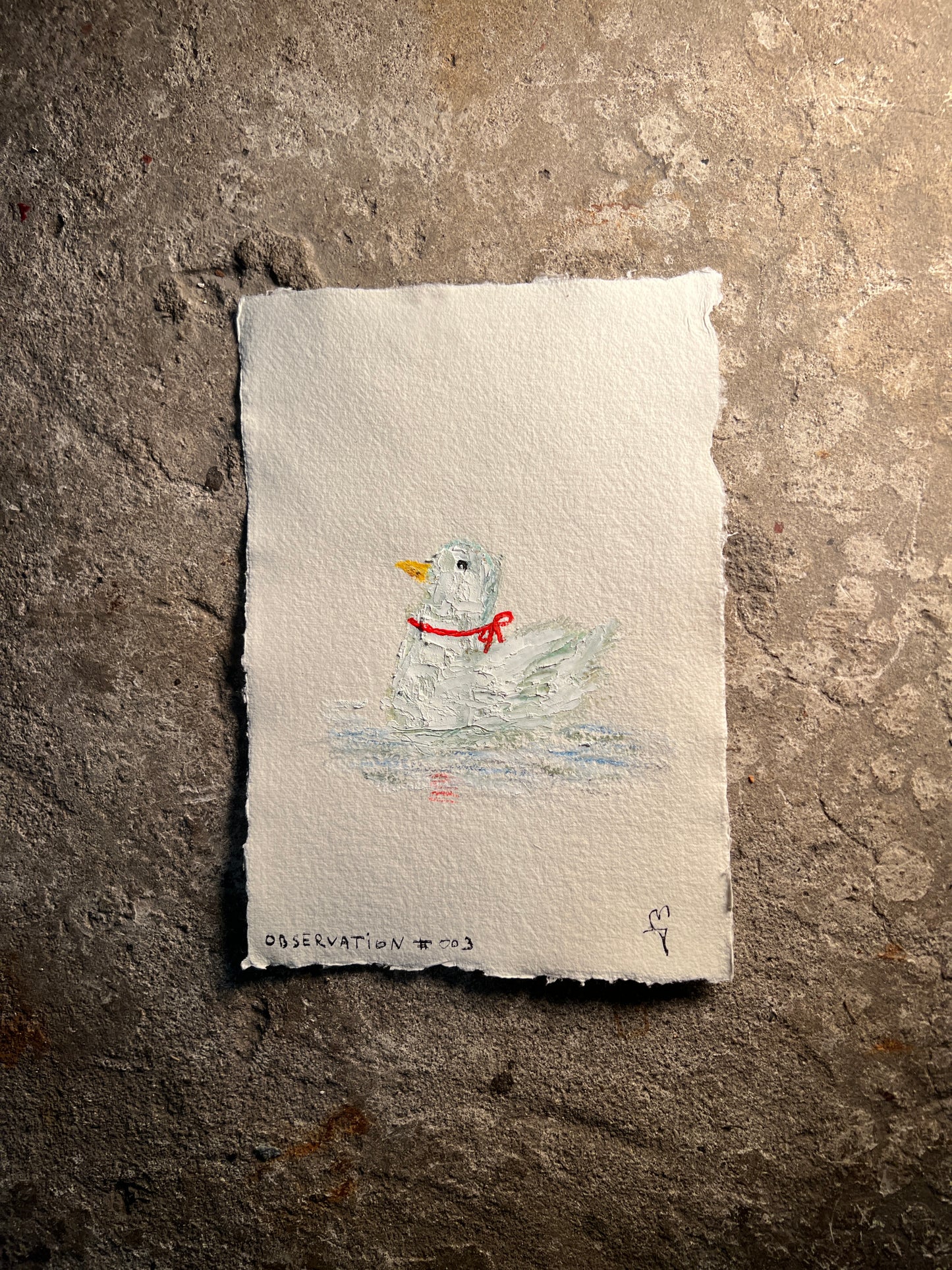 Observation #003