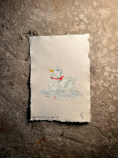 Observation #003