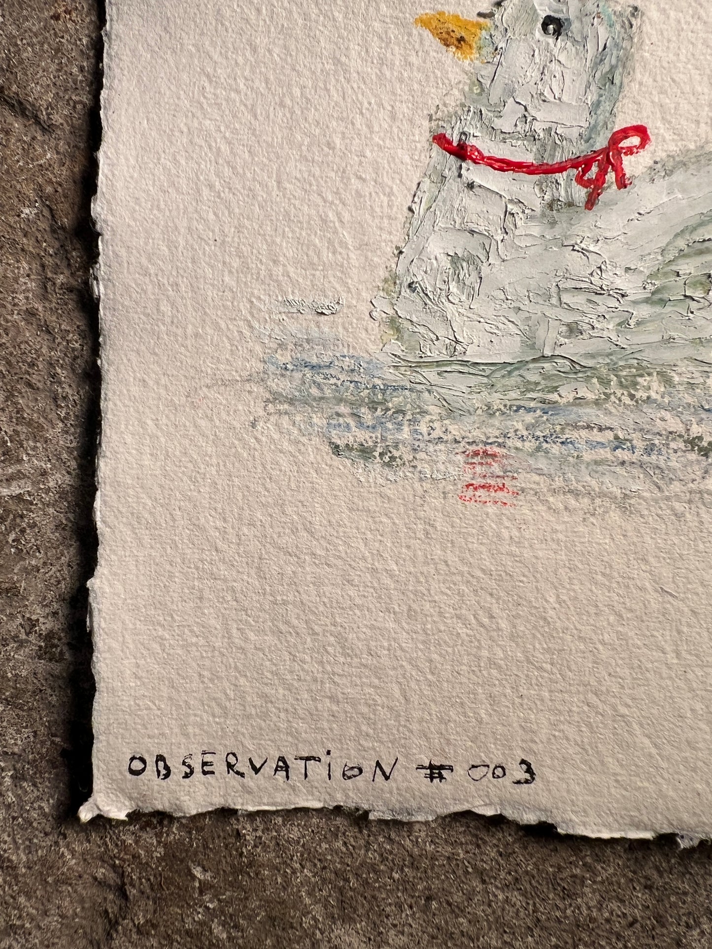 Observation #003