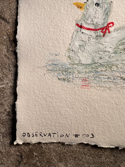 Observation #003