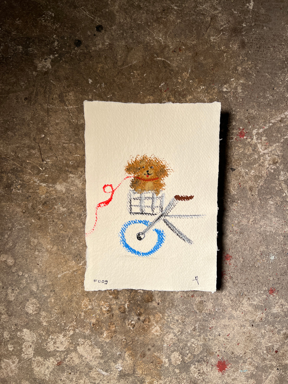 Observation #009