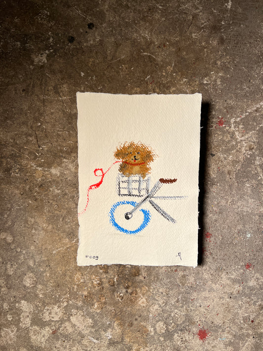 Observation #009