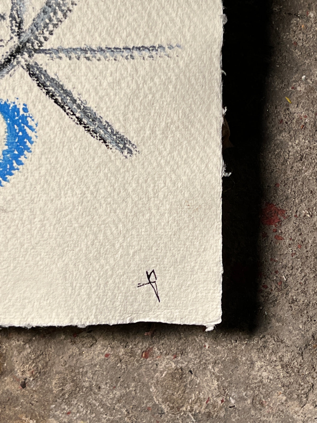 Observation #009