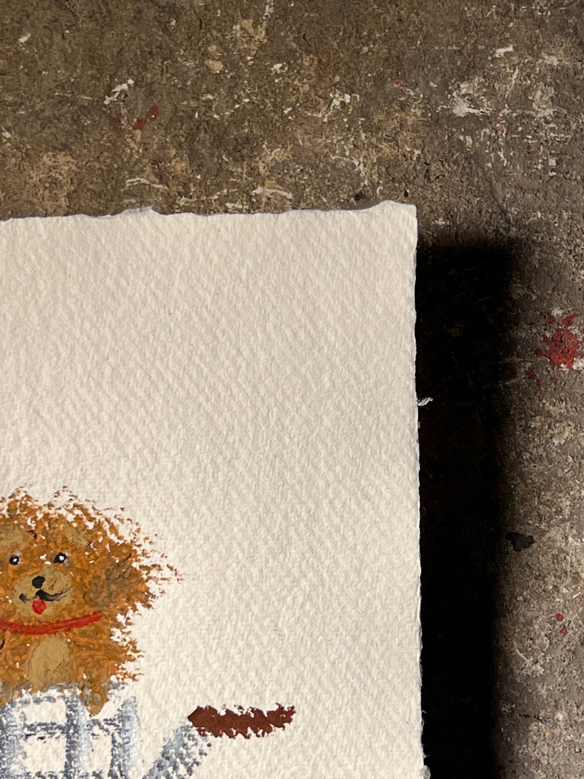 Observation #009